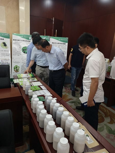 天敵昆蟲防控技術研發項目通過中期檢查，網絡技術賦能綠色農業發展